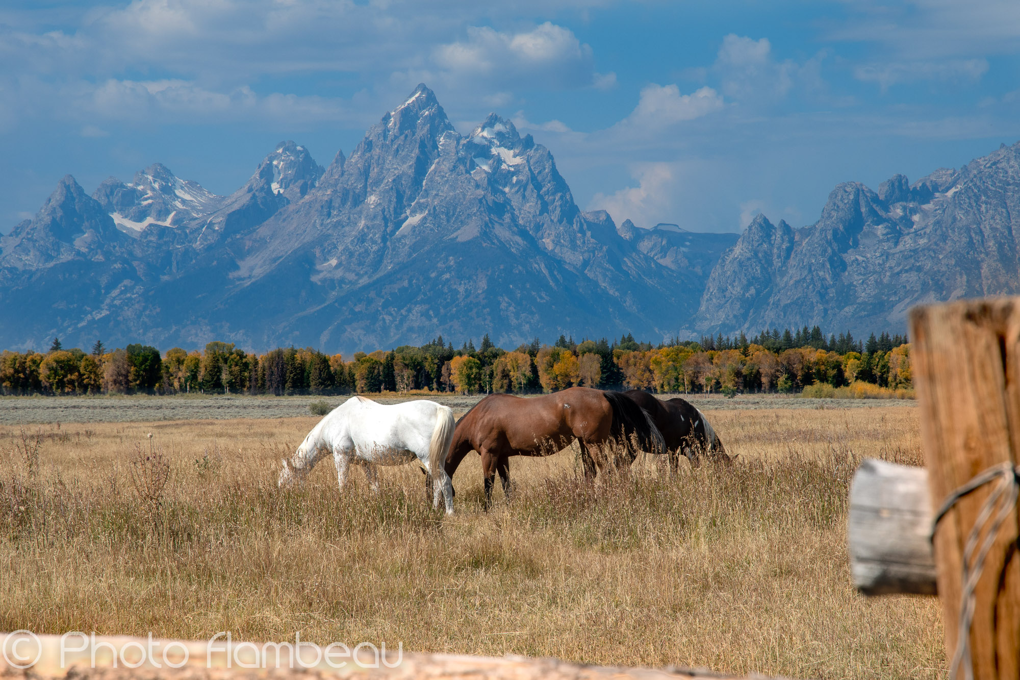 Grand Teton Range from Teton Point turnout