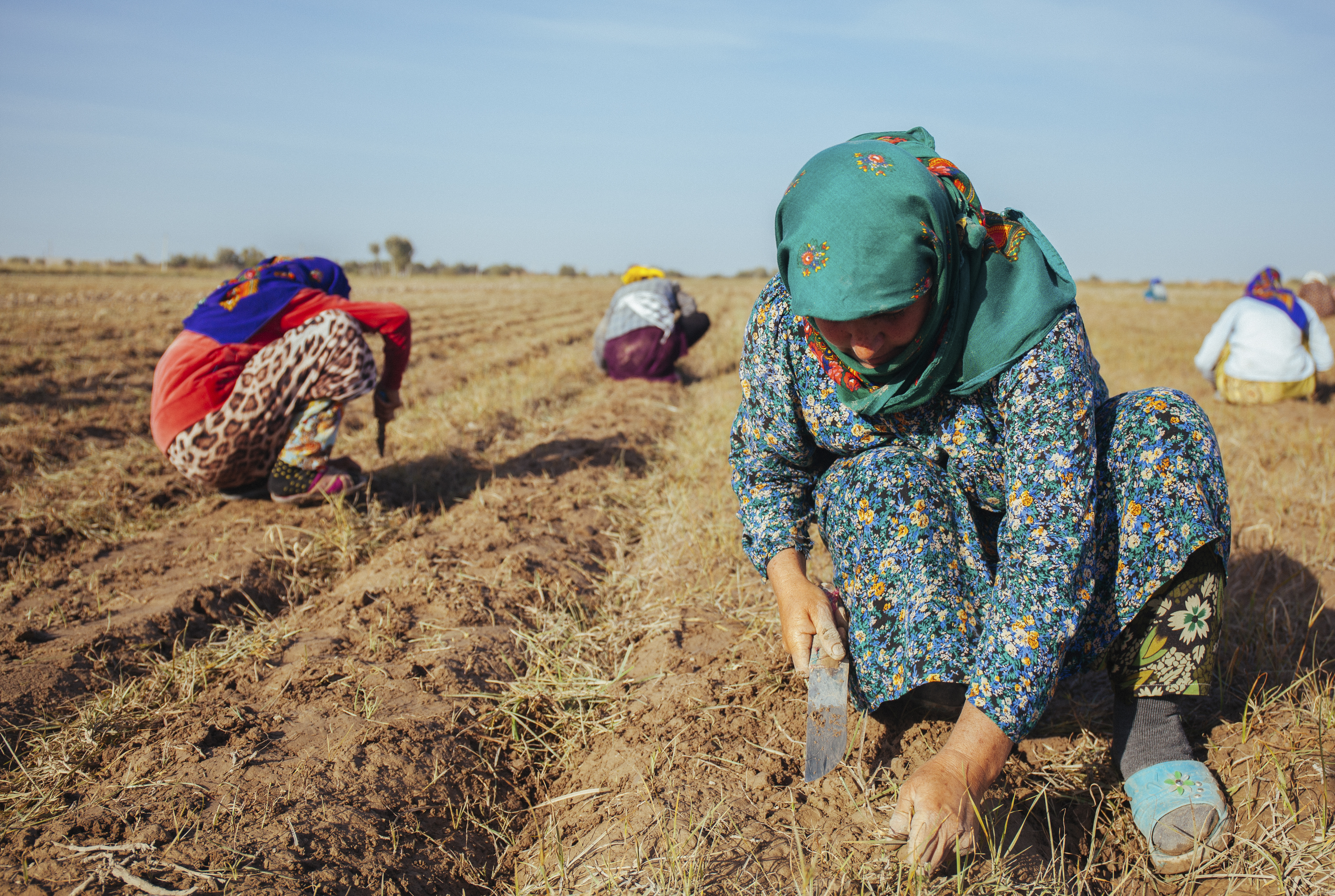 Her land. Her rights.