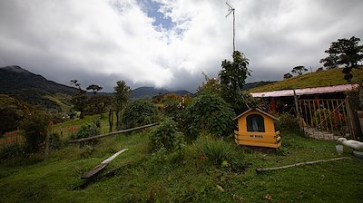 A photo in this story