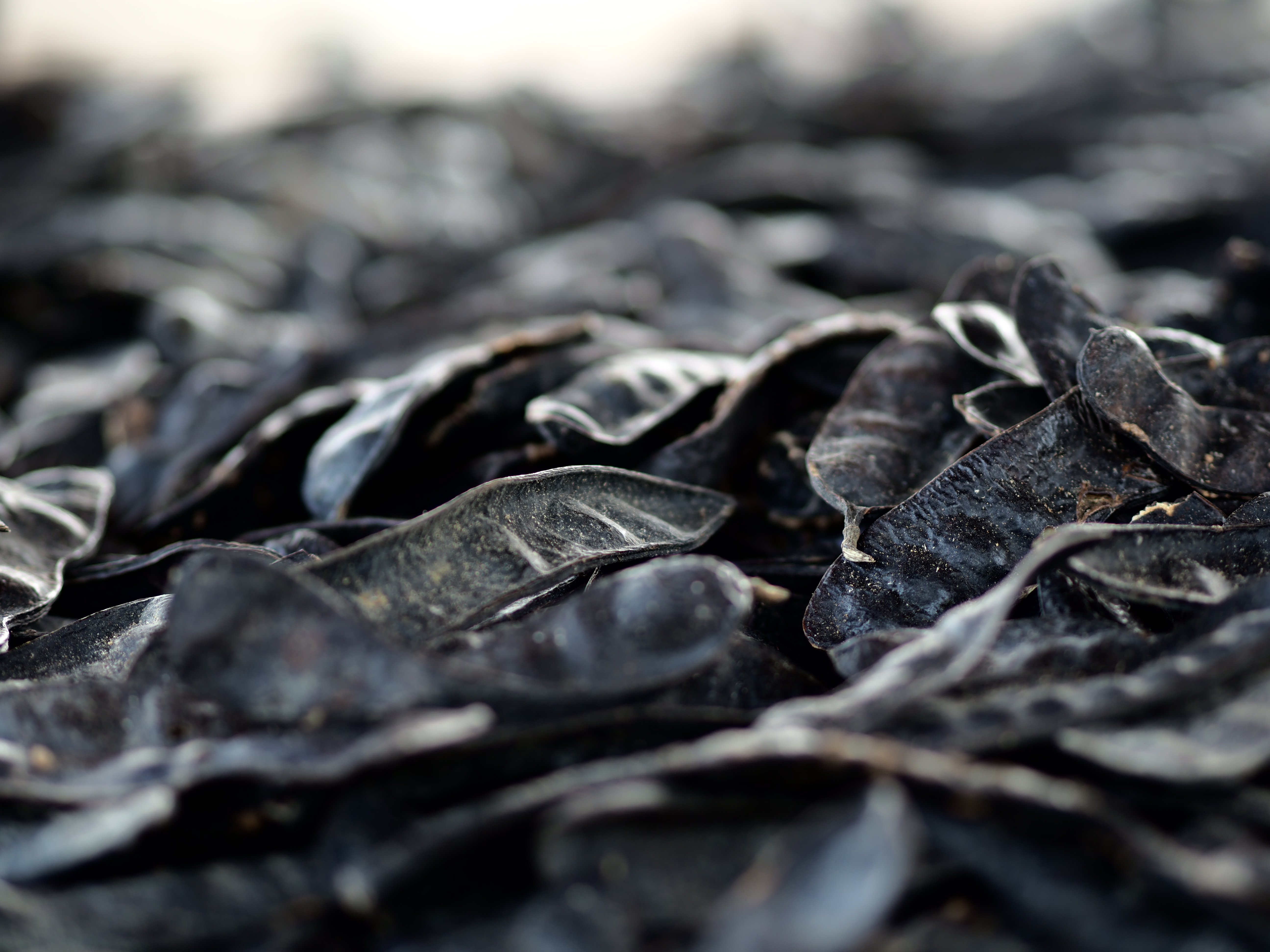 A photo in this story