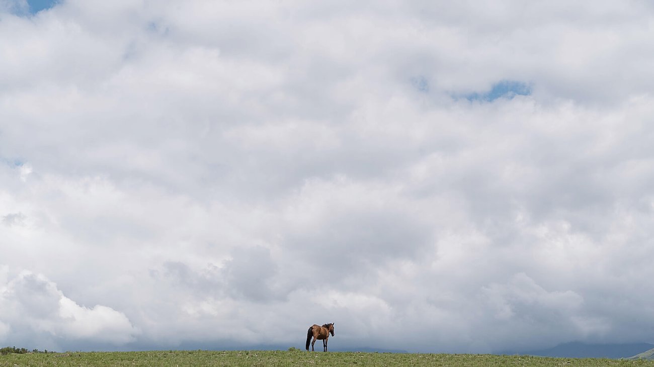 A photo in this story