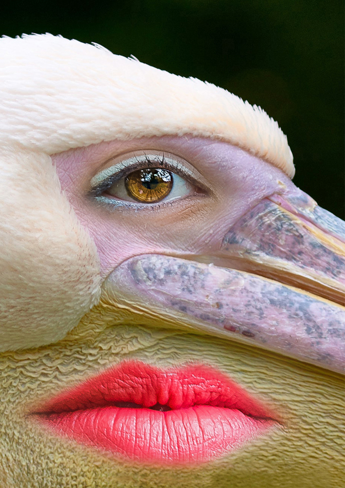 'Duck Face' by Cristina Schek