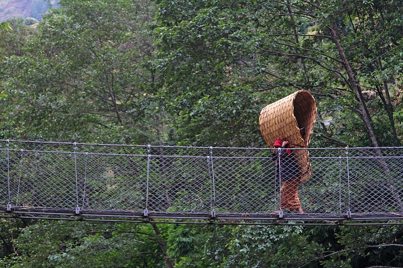 Crossing a suspension bridge carrying bamboo matting to make a temporary barn for livestock.