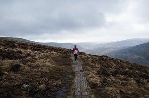 A photo in this story