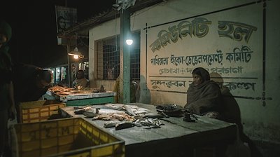 A photo in this story