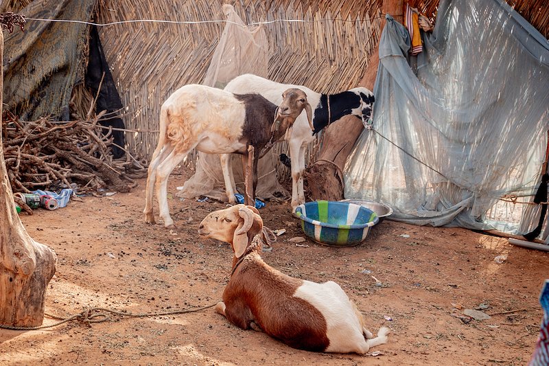 Kaya, région du Centre-Nord : UNOCHA/ Alassane Sarr