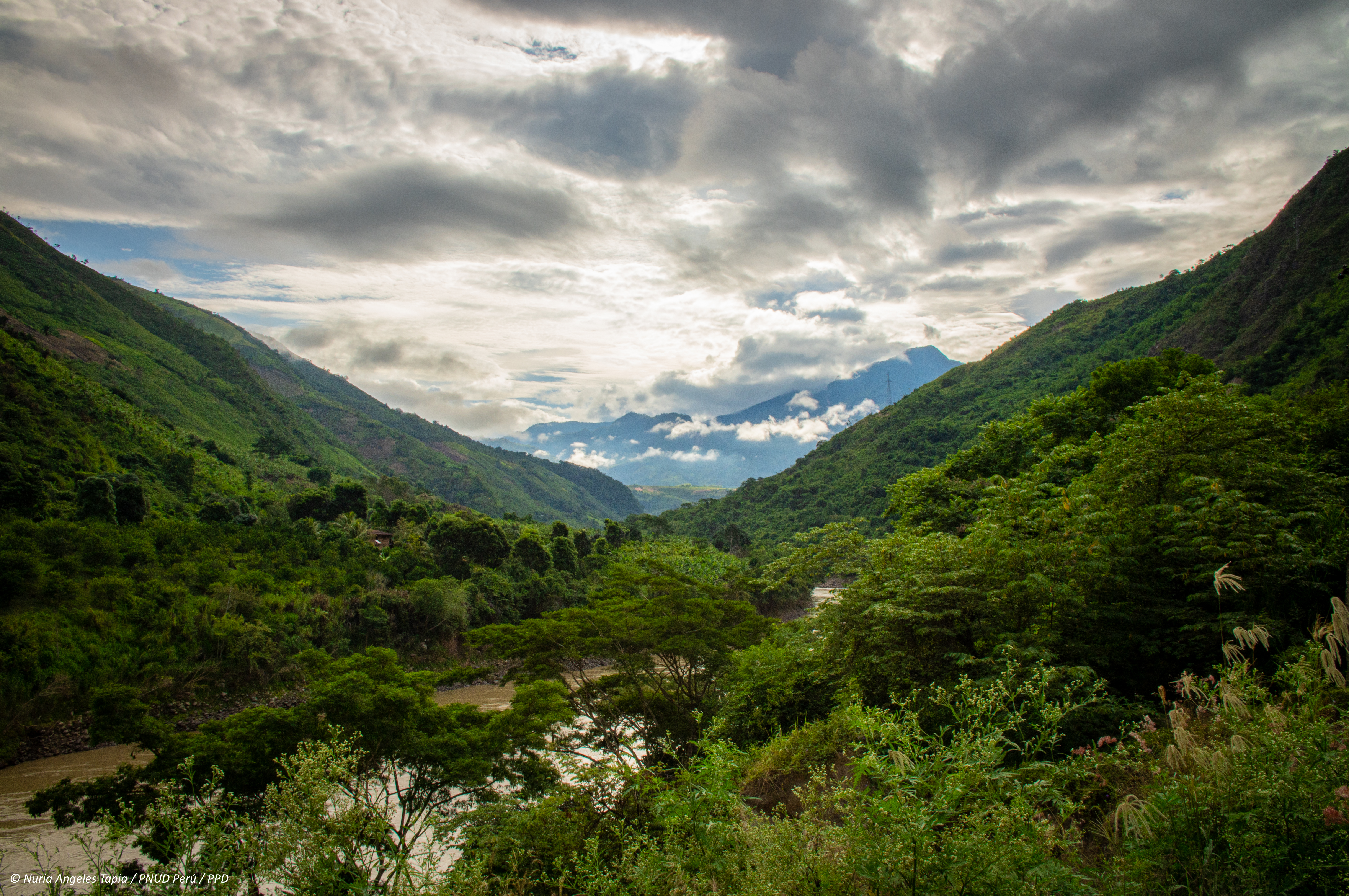 The Amazon basin has already lost about 17% of its forest area and in ...