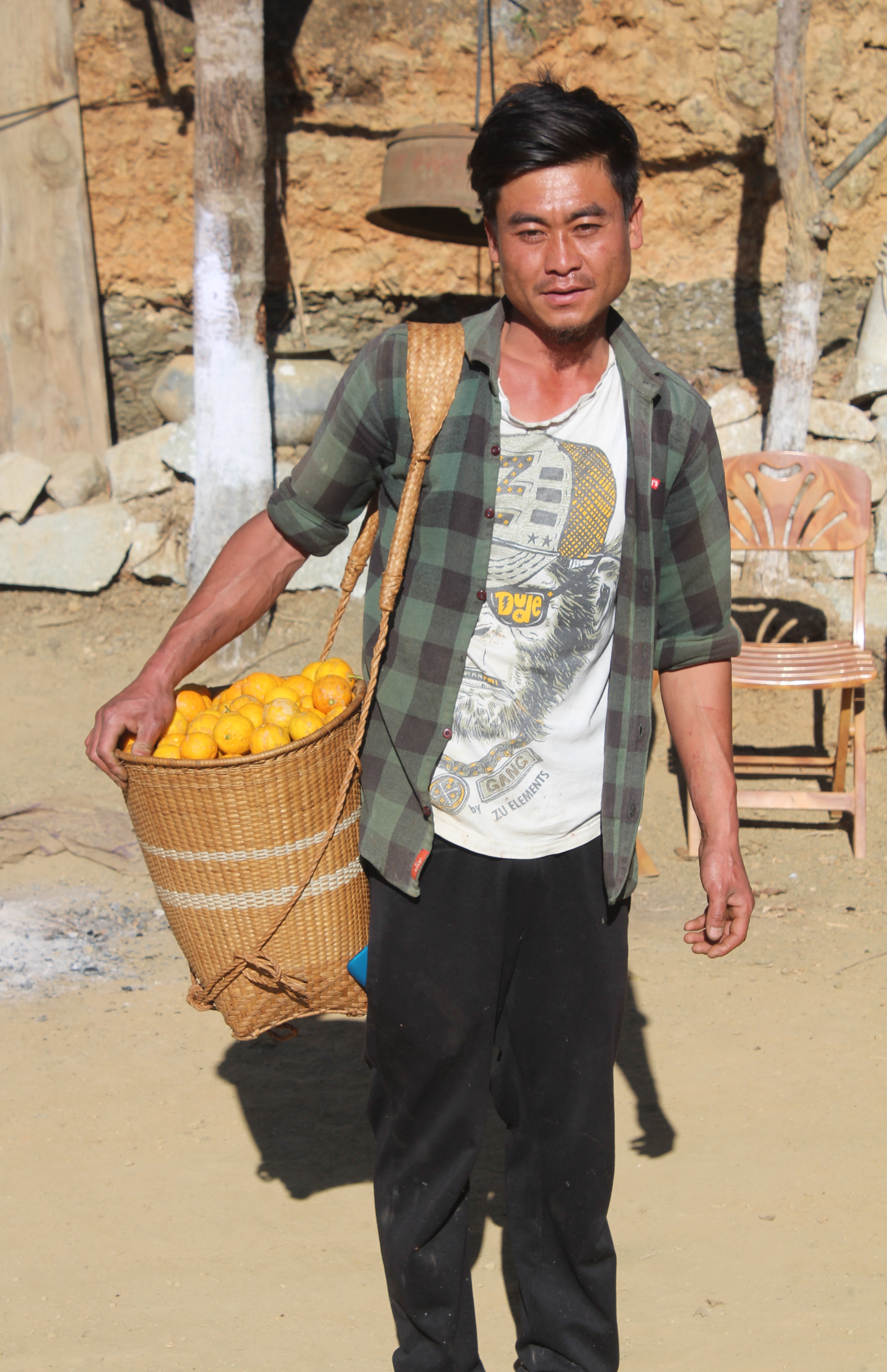 A Tangkhul man after harvesting lemons from garden in Phalee village ...