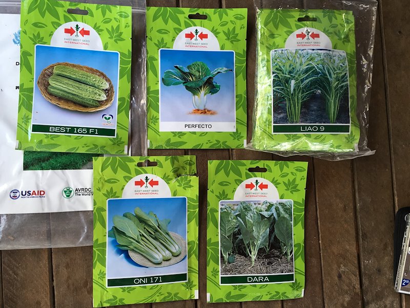 Examples of vegetable seeds found in a home garden kit from the World Vegetable Center, chosen for micronutrient content.