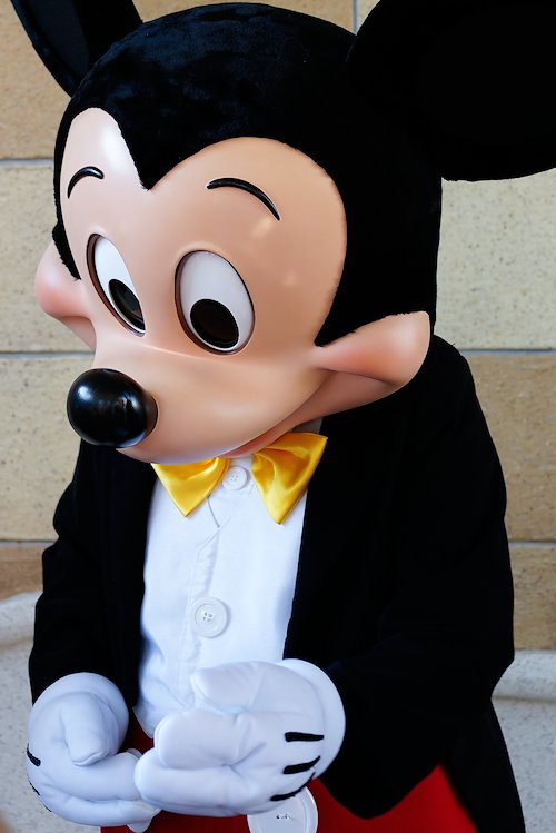 A photo in this story