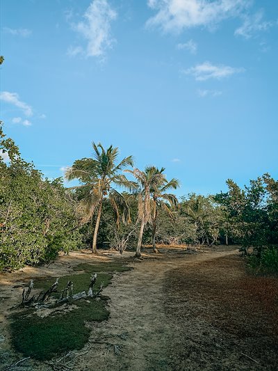 A photo in this story