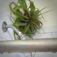 A photo in this story