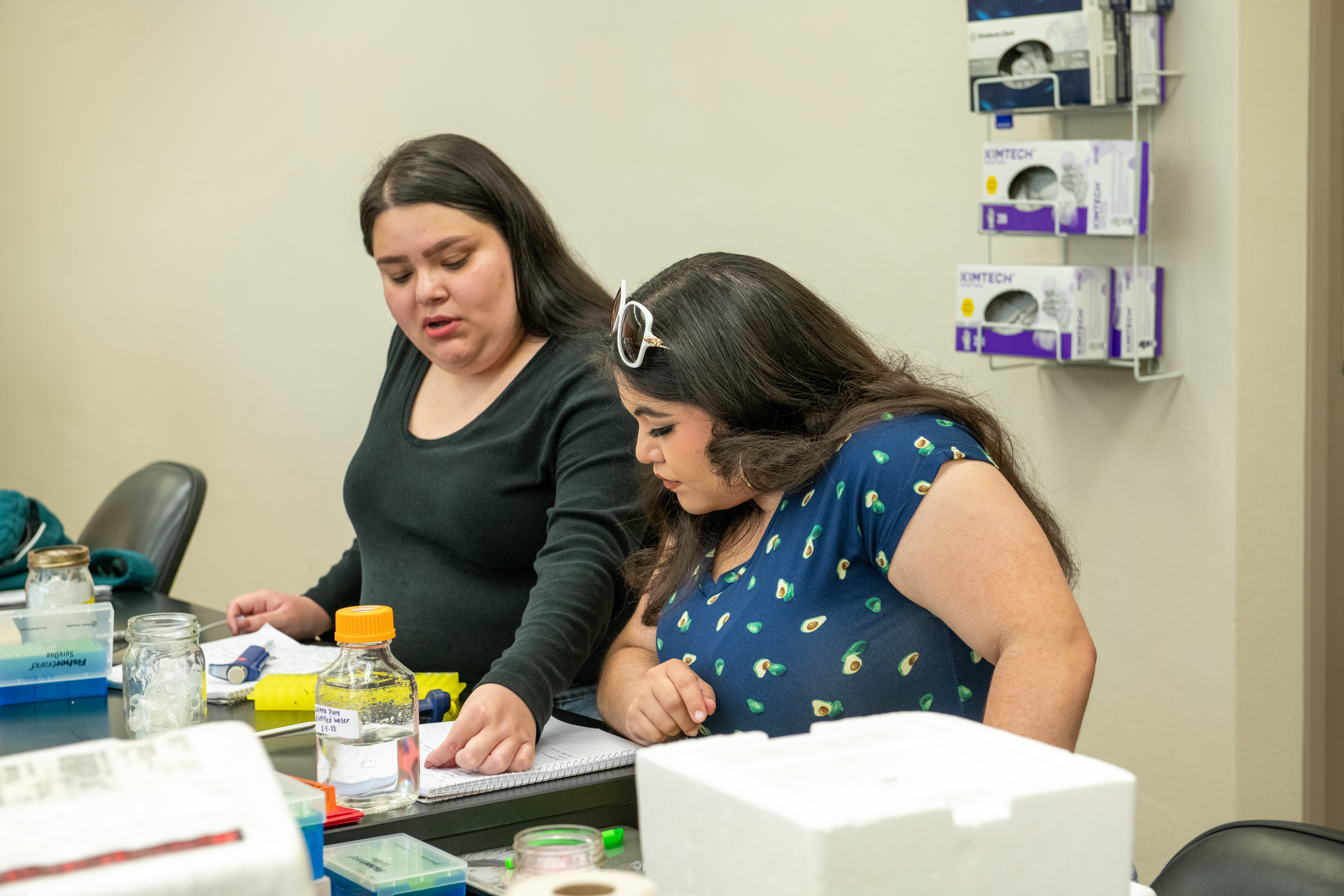 Photo Gallery: BC/CSUB Summer Research Program