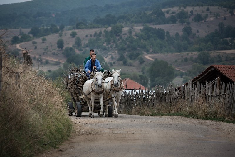 People returning to the village after working on their farms near Razlovci, an agricultural village.