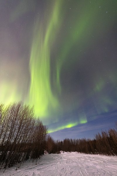 A photo in this story