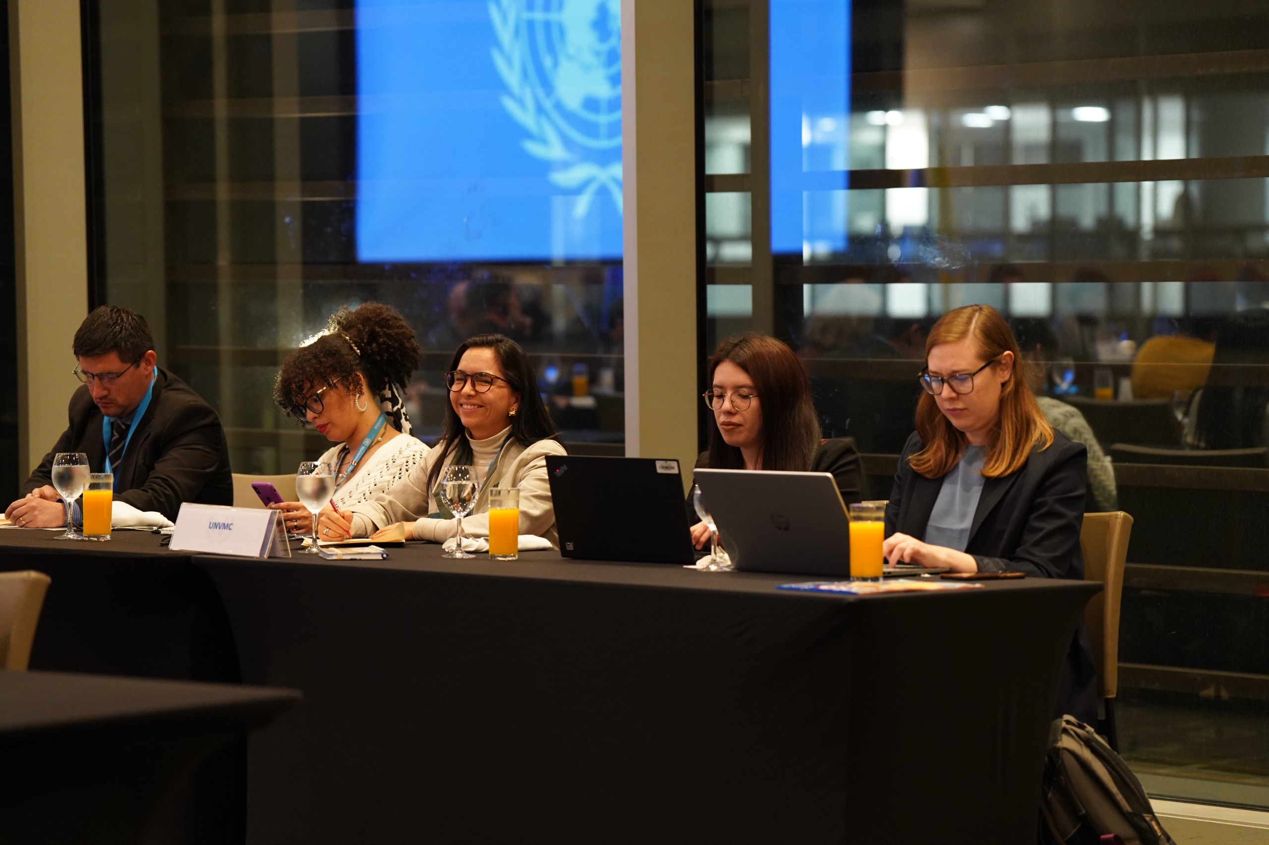 WOMEN BUILDING PEACE: Meet UN Volunteers with UNVMC
