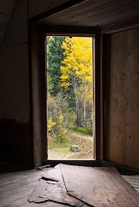 A photo in this story