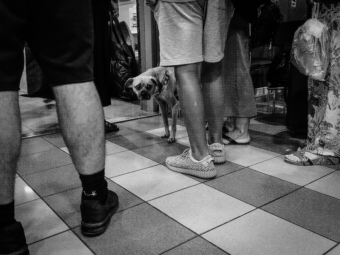 A photo in this story