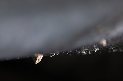 A photo in this story