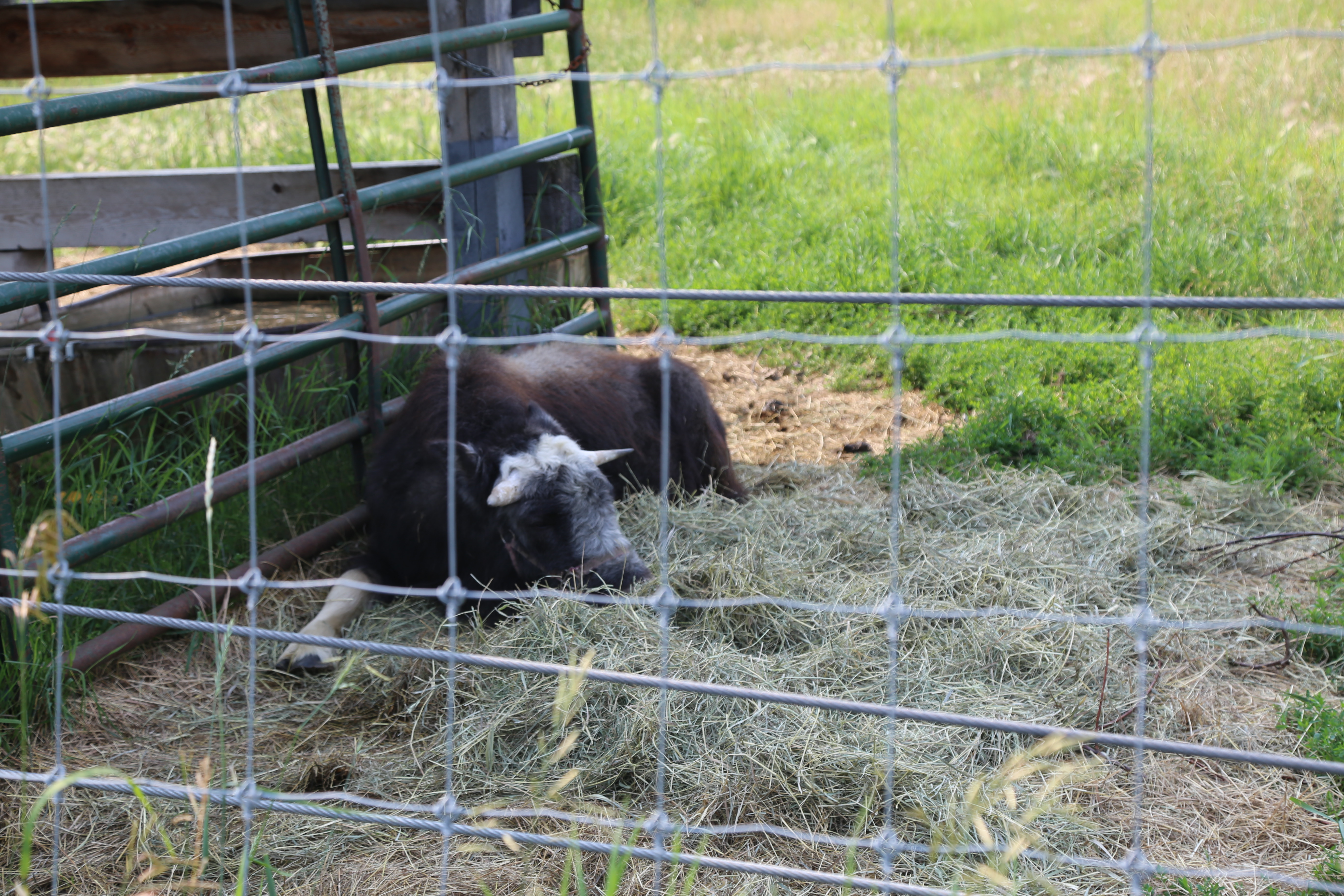 A photo in this story