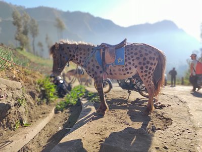 A photo in this story