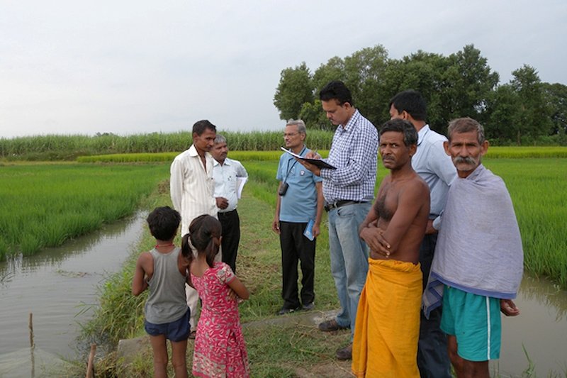 SUDHANSHU SINGH (checkered shirt) talks with the farmers in a village in Odisha to monitor the performance of flood-tolerant Swarna-Sub1.