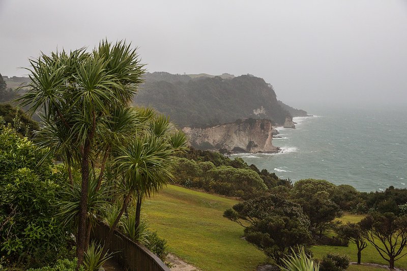 We were supposed to hike to Cathedral Cove. The weather did not cooperate.