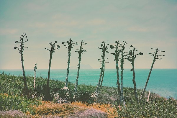 A photo in this story
