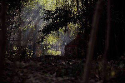 A photo in this story