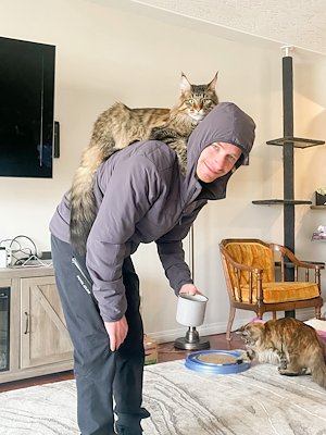 A photo in this story