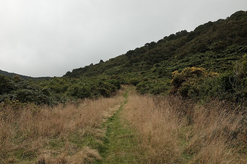 The start of the Kaitoke Ridge Track