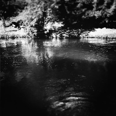 A photo in this story