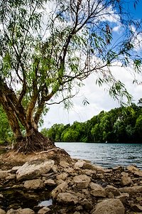McArthur River just outside Borroloola, Rumburriya country, NT