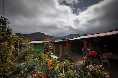 A photo in this story