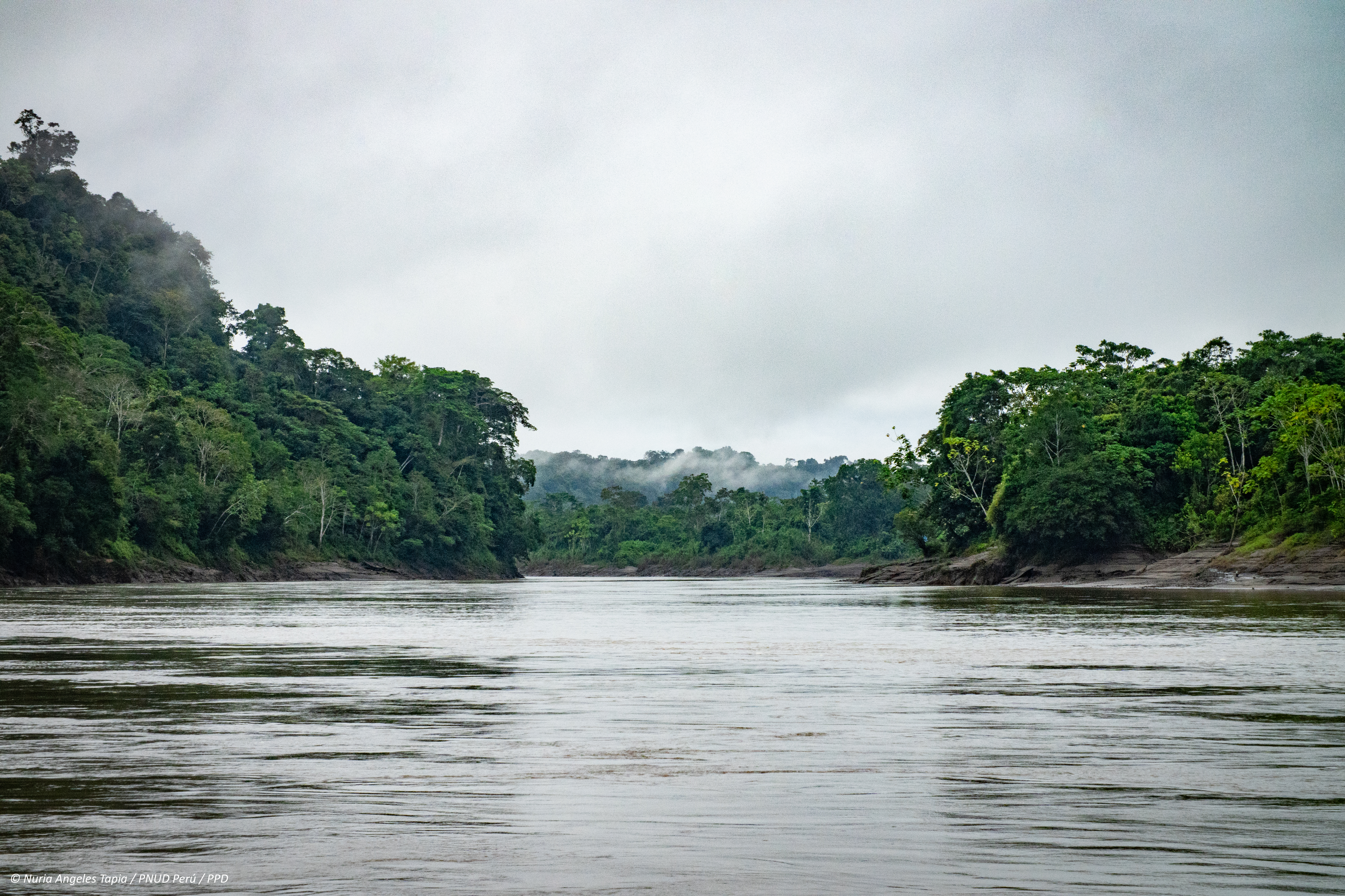 The flying rivers of the Wampís Nation’s forests can cause rains more ...