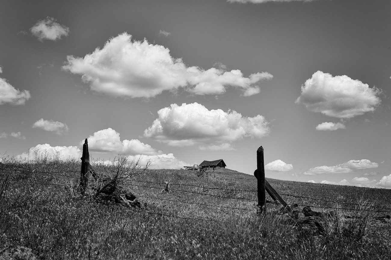A photo in this story