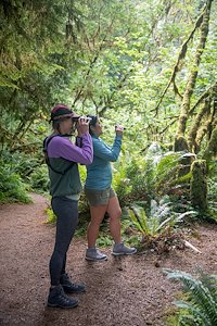 A photo in this story