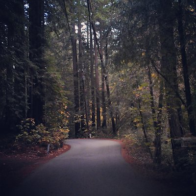 A photo in this story