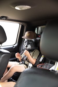 A photo in this story