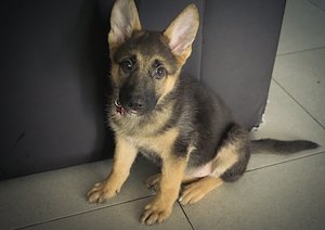 A photo in this story