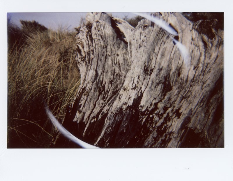 instaxwide-color-beach8-112917.jpg