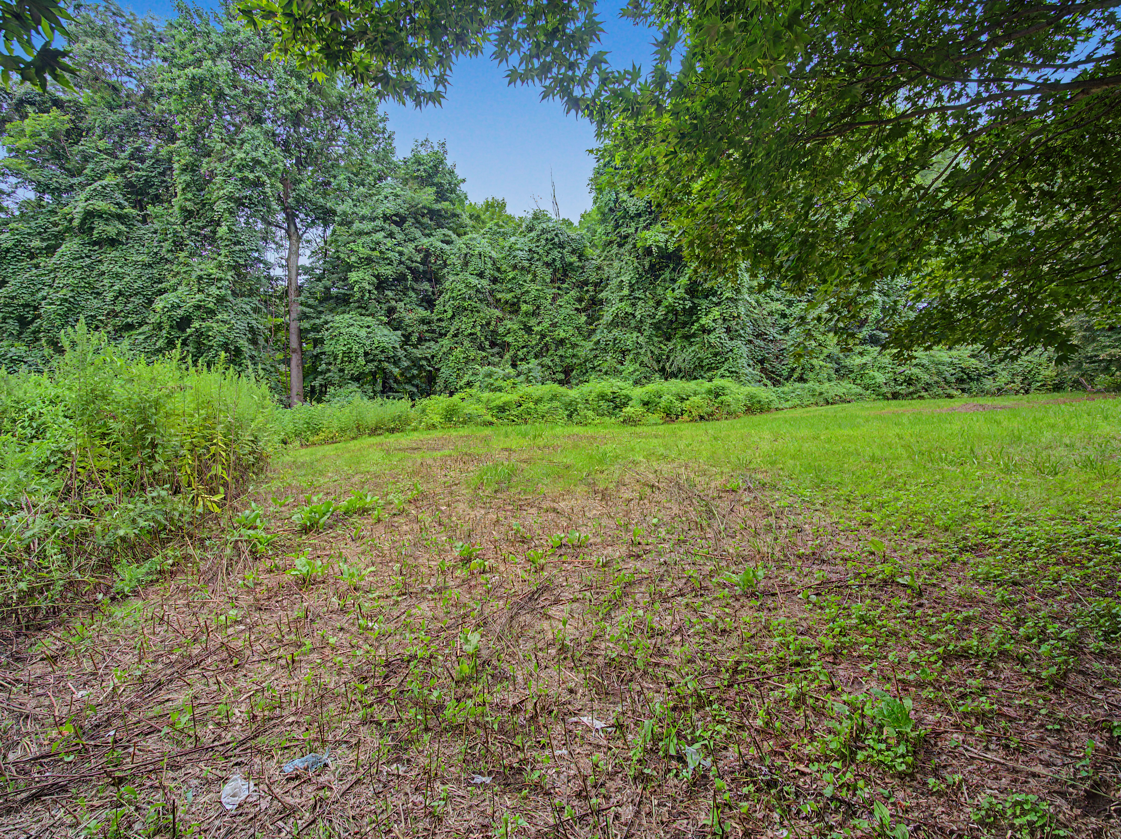 Home in West Hartford, Connecticut, photographed by Ari Lee