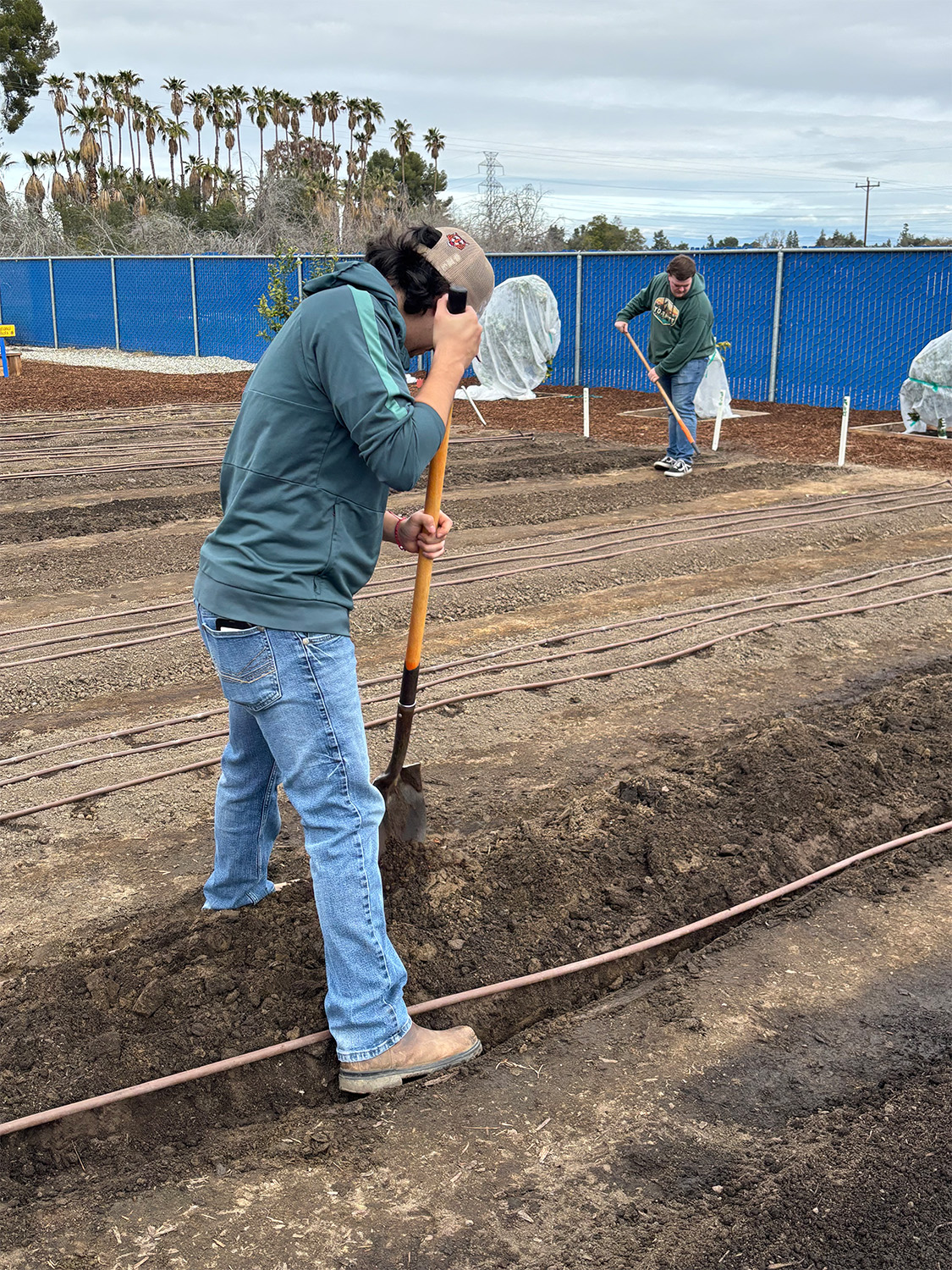 CSUB offers first course at Edible Garden