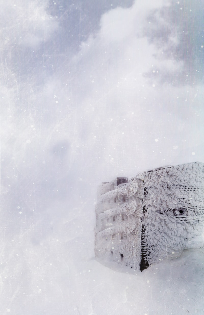 'The Way Things Were, Never Was' by Cristina Schek