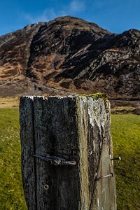 A photo in this story