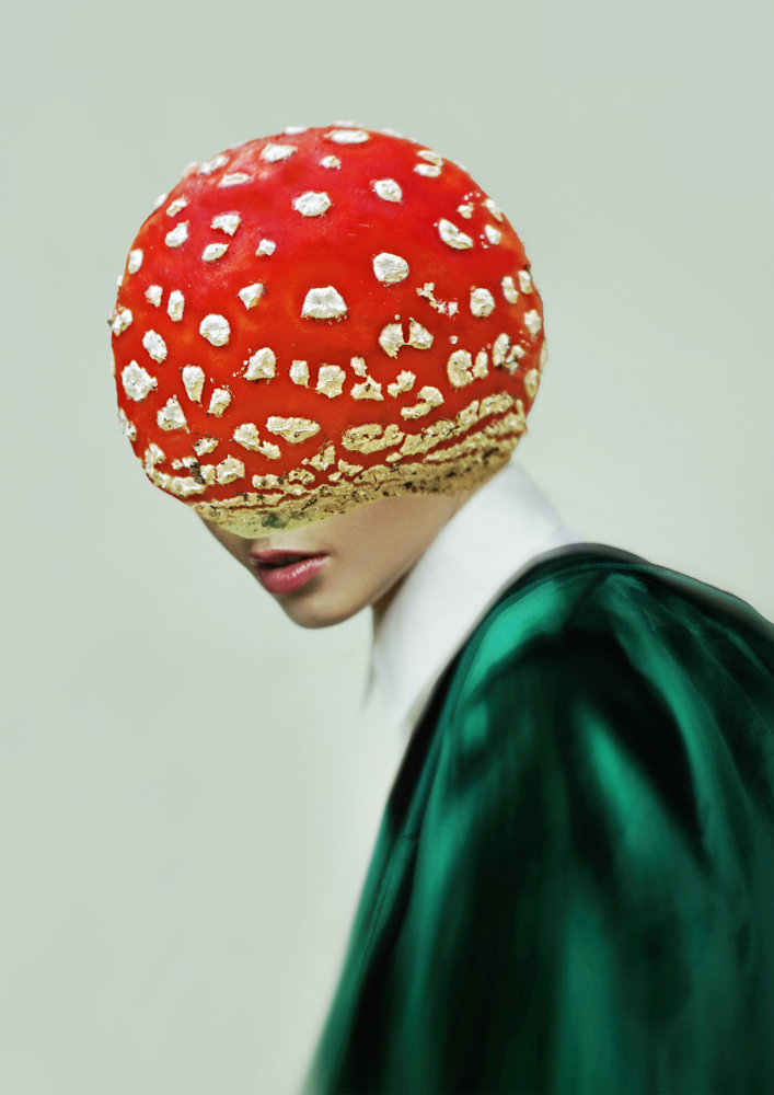 'Pretty Fly For A Fungi' by Cristina Schek