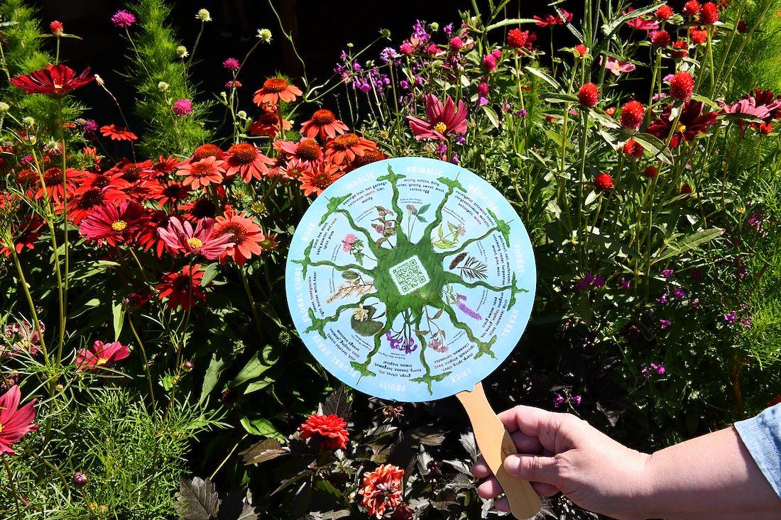 The Smell Fan spelled out clues and tips for identifying fragrances and odors, and provided links to information about native plants and pollinators.