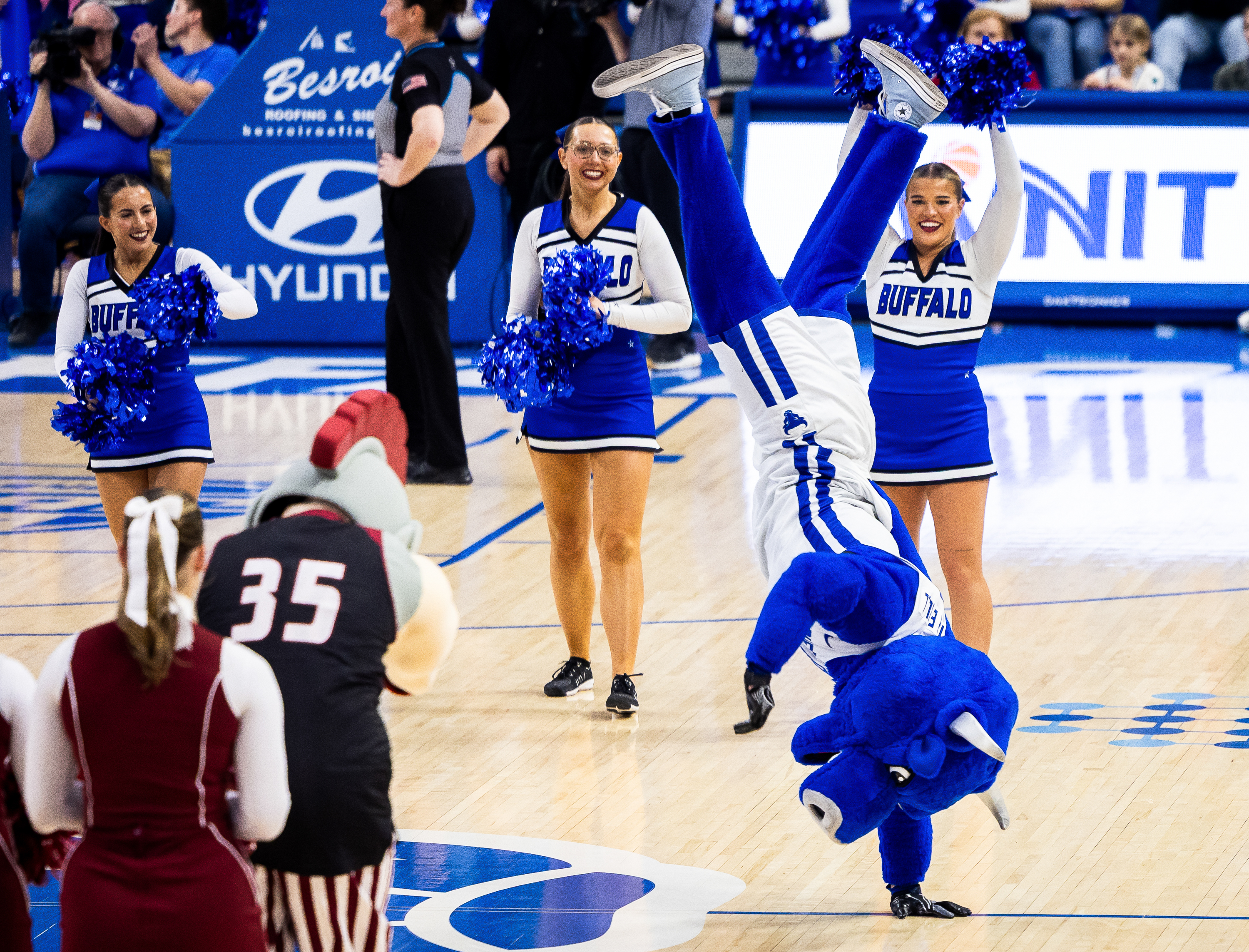 UB's mascot Victor E. Bull dances at center of the basketball court ...