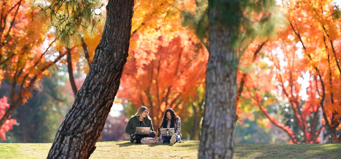 Students study on a hill outside the Conley Art Building.