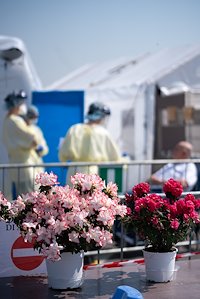 Donated flowers brightened spirits at the SP field hospital in Cremona, Italy during Easter week.